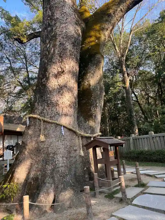 伊弉諾神宮(兵庫県)