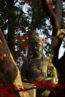 榮攝院（栄摂院）(京都府)