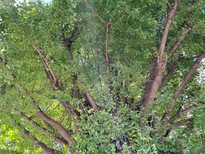 稼穡稲荷社(東京都)