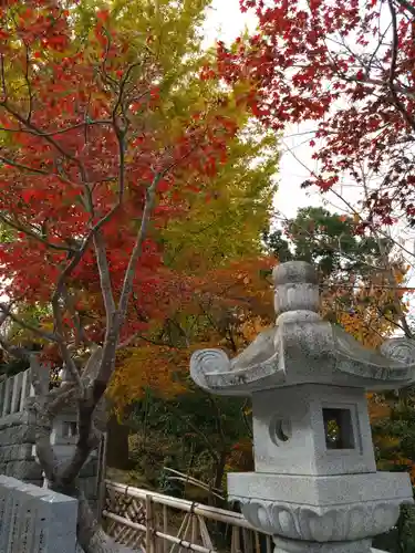 紅葉八幡宮の自然