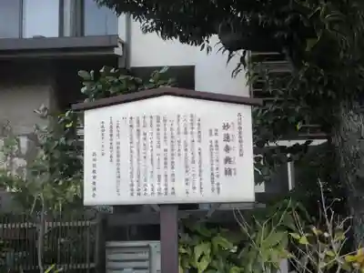 妙蓮寺(東京都)