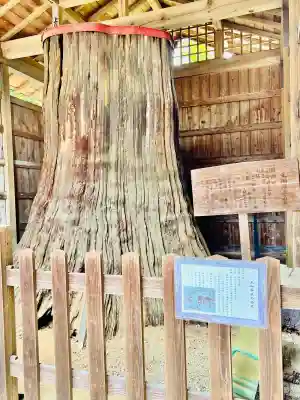 常陸二ノ宮　静神社の{uncategorized: "未分類", other: "その他", undefined: "問題あり", building: "その他建物", grave: "お墓", sacred_gate: "鳥居", guardian: "狛犬", statue: "像", buddha: "仏像", history: "歴史", nature: "自然", garden: "庭園", animal: "動物", pagoda: "塔", temizu: "手水舎", mountain_gate: "山門・神門", sanctuary: "本殿・本堂", subordinate: "末社・摂社", art: "芸術", scenery: "景色", jizo: "地蔵", ema: "絵馬", goshuin: "御朱印", omikuji: "おみくじ", items: "授与品その他", amulet: "お守り", goshuincho: "御朱印帳", eats: "食事", festival: "お祭り", votive_dance: "神楽", shichigosan: "七五三参", wedding: "結婚式", experience: "体験その他", initially: "初詣", around: "周辺", anti_infection: "感染症対策"}