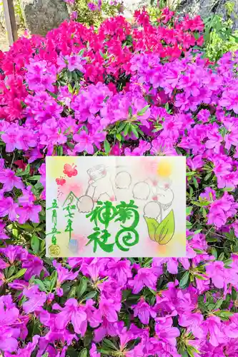 菊田神社の御朱印