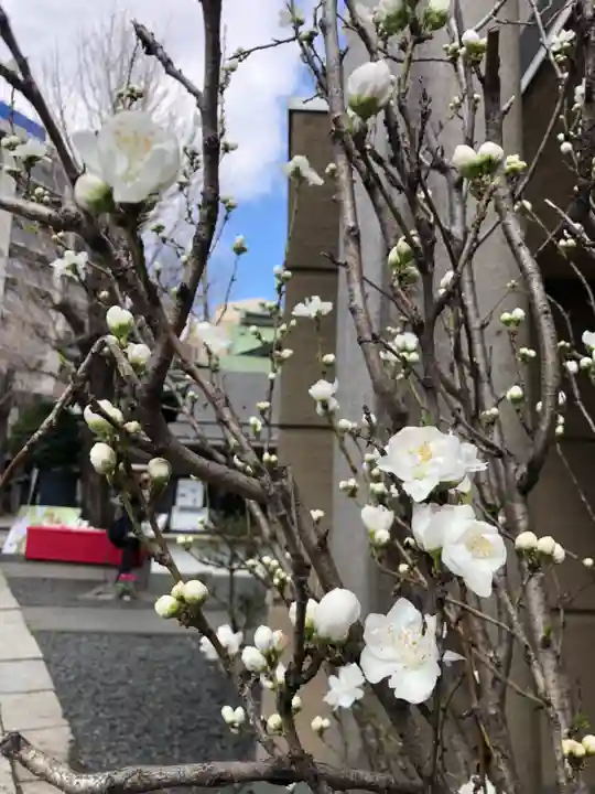 小野照崎神社の自然