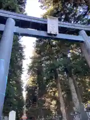 北口本宮冨士浅間神社の自然