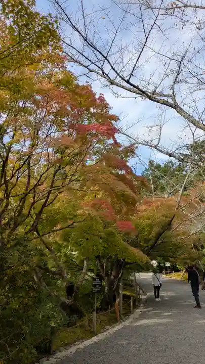 龍安寺(京都府)