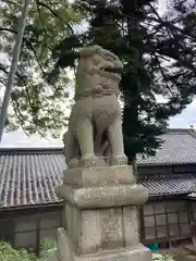 大浜八幡大神社の狛犬