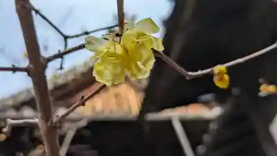 本法寺(京都府)