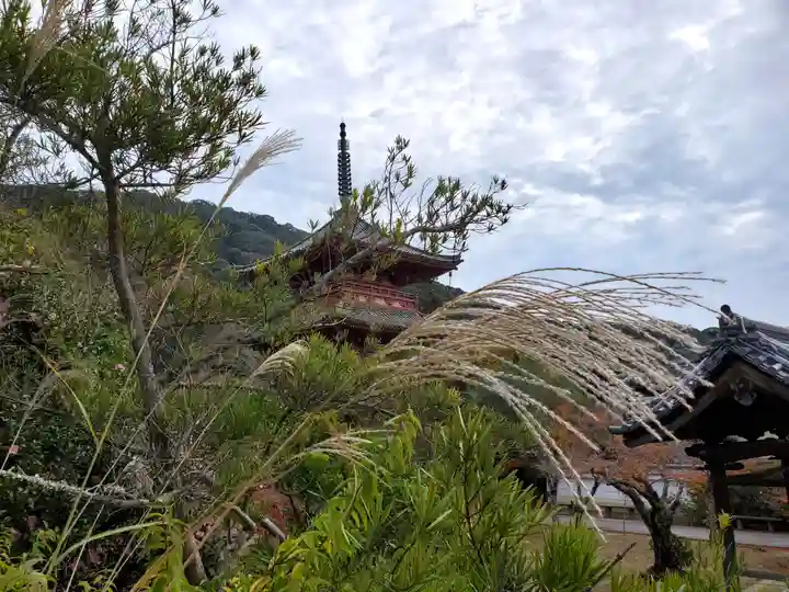 太山寺のその他建物