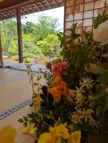 妙満寺(京都府)