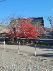 走田神社(京都府)