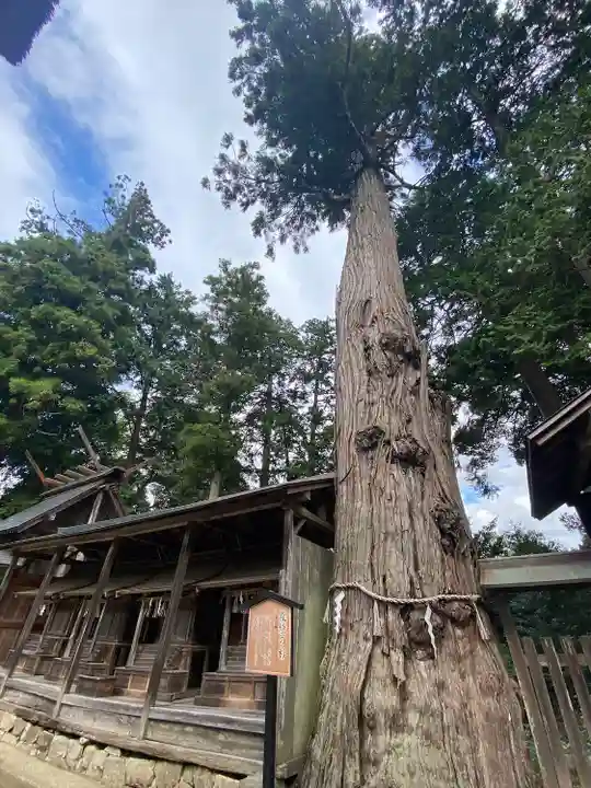 豊受大神社(京都府)