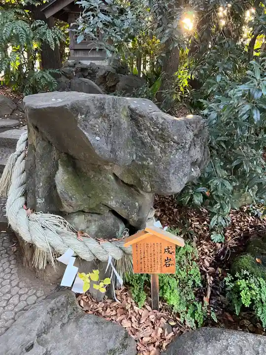 川越氷川神社(埼玉県)