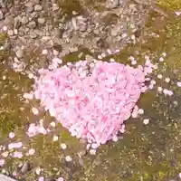彌彦神社 (伊夜日子神社)の庭園