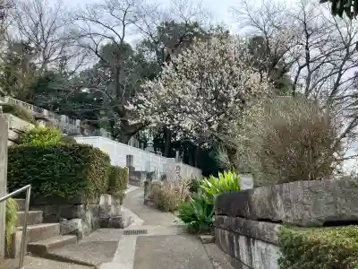 正観寺の{uncategorized: "未分類", other: "その他", undefined: "問題あり", building: "その他建物", grave: "お墓", sacred_gate: "鳥居", guardian: "狛犬", statue: "像", buddha: "仏像", history: "歴史", nature: "自然", garden: "庭園", animal: "動物", pagoda: "塔", temizu: "手水舎", mountain_gate: "山門・神門", sanctuary: "本殿・本堂", subordinate: "末社・摂社", art: "芸術", scenery: "景色", jizo: "地蔵", ema: "絵馬", goshuin: "御朱印", omikuji: "おみくじ", items: "授与品その他", amulet: "お守り", goshuincho: "御朱印帳", eats: "食事", festival: "お祭り", votive_dance: "神楽", shichigosan: "七五三参", wedding: "結婚式", experience: "体験その他", initially: "初詣", around: "周辺", anti_infection: "感染症対策"}