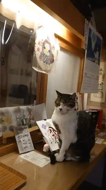 八枝神社の動物