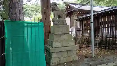 北海道神宮の狛犬