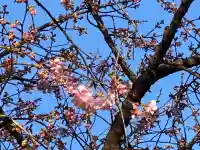 鏡神社の{uncategorized: "未分類", other: "その他", undefined: "問題あり", building: "その他建物", grave: "お墓", sacred_gate: "鳥居", guardian: "狛犬", statue: "像", buddha: "仏像", history: "歴史", nature: "自然", garden: "庭園", animal: "動物", pagoda: "塔", temizu: "手水舎", mountain_gate: "山門・神門", sanctuary: "本殿・本堂", subordinate: "末社・摂社", art: "芸術", scenery: "景色", jizo: "地蔵", ema: "絵馬", goshuin: "御朱印", omikuji: "おみくじ", items: "授与品その他", amulet: "お守り", goshuincho: "御朱印帳", eats: "食事", festival: "お祭り", votive_dance: "神楽", shichigosan: "七五三参", wedding: "結婚式", experience: "体験その他", initially: "初詣", around: "周辺", anti_infection: "感染症対策"}