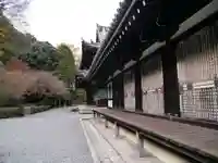 御寺 泉涌寺の本殿・本堂