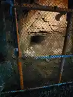 恵明寺のその他建物