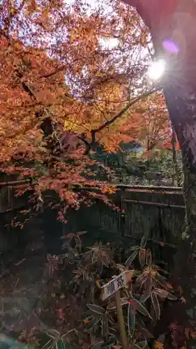 来迎院(京都府)
