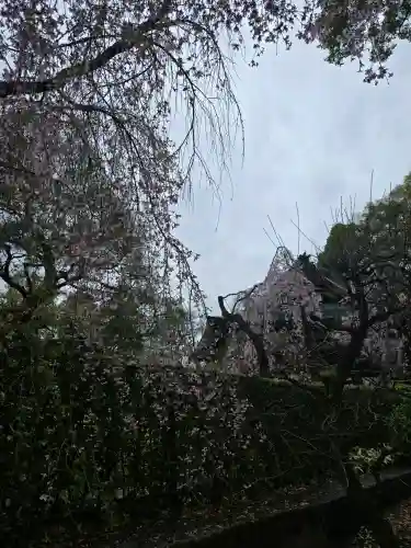 南禅寺の{uncategorized: "未分類", other: "その他", undefined: "問題あり", building: "その他建物", grave: "お墓", sacred_gate: "鳥居", guardian: "狛犬", statue: "像", buddha: "仏像", history: "歴史", nature: "自然", garden: "庭園", animal: "動物", pagoda: "塔", temizu: "手水舎", mountain_gate: "山門・神門", sanctuary: "本殿・本堂", subordinate: "末社・摂社", art: "芸術", scenery: "景色", jizo: "地蔵", ema: "絵馬", goshuin: "御朱印", omikuji: "おみくじ", items: "授与品その他", amulet: "お守り", goshuincho: "御朱印帳", eats: "食事", festival: "お祭り", votive_dance: "神楽", shichigosan: "七五三参", wedding: "結婚式", experience: "体験その他", initially: "初詣", around: "周辺", anti_infection: "感染症対策"}