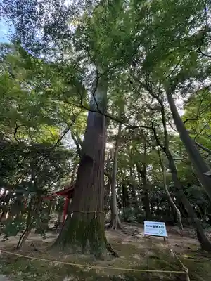 奥石神社(滋賀県)