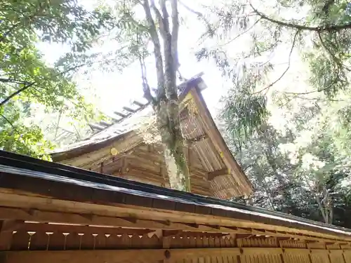 若狭彦神社（上社）の本殿・本堂