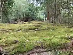 天御中主神社の自然