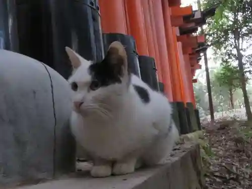 伏見稲荷大社(京都府)