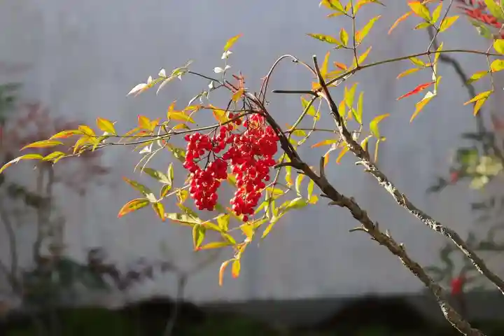松花堂 泰勝寺(京都府)