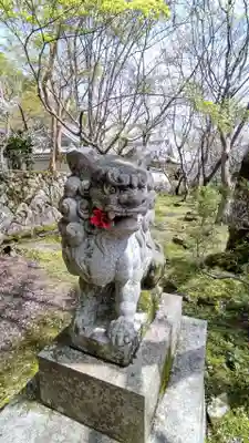 勝持寺(花の寺)の狛犬