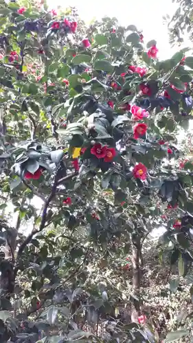 城南宮(京都府)