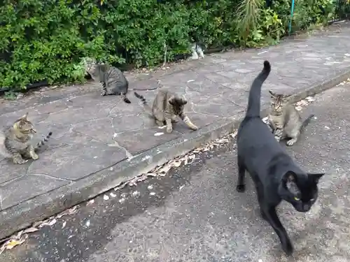 清泰寺(岐阜県)