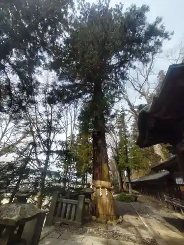 手長神社(長野県)