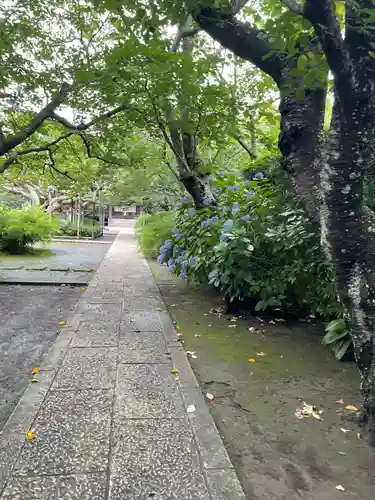 極楽寺（霊鷲山感應院極楽律寺）のその他建物