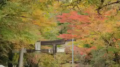 大矢田神社(岐阜県)
