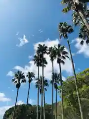 宮地嶽神社の景色