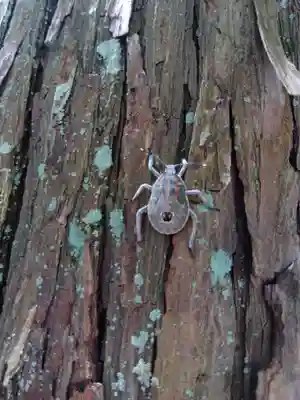 杉杜白髭神社(福井県)