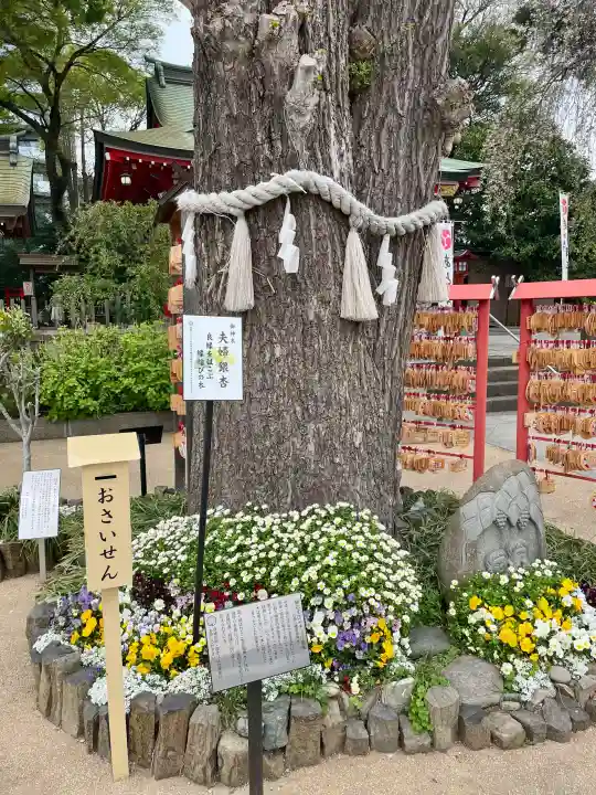 川越八幡宮の{uncategorized: "未分類", other: "その他", undefined: "問題あり", building: "その他建物", grave: "お墓", sacred_gate: "鳥居", guardian: "狛犬", statue: "像", buddha: "仏像", history: "歴史", nature: "自然", garden: "庭園", animal: "動物", pagoda: "塔", temizu: "手水舎", mountain_gate: "山門・神門", sanctuary: "本殿・本堂", subordinate: "末社・摂社", art: "芸術", scenery: "景色", jizo: "地蔵", ema: "絵馬", goshuin: "御朱印", omikuji: "おみくじ", items: "授与品その他", amulet: "お守り", goshuincho: "御朱印帳", eats: "食事", festival: "お祭り", votive_dance: "神楽", shichigosan: "七五三参", wedding: "結婚式", experience: "体験その他", initially: "初詣", around: "周辺", anti_infection: "感染症対策"}