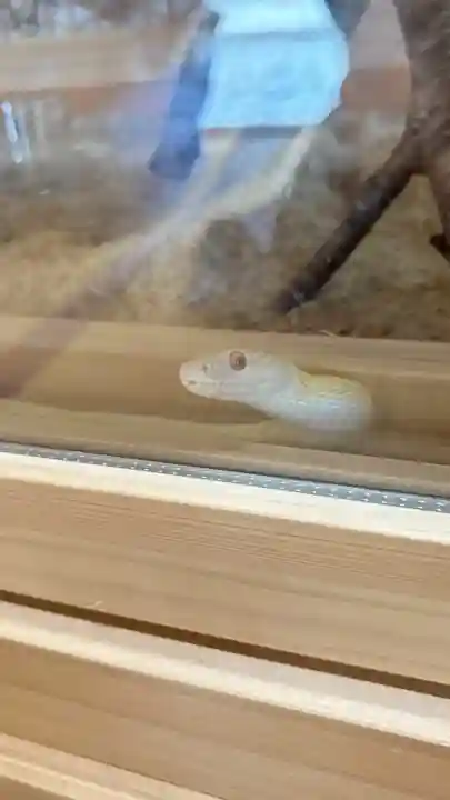 感神院木山寺(岡山県)