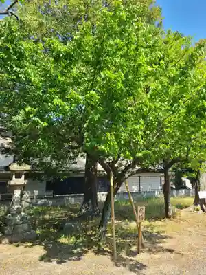 田代八坂神社(佐賀県)
