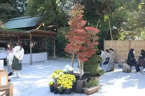 東京大神宮のその他建物