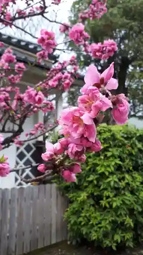 御香宮神社(京都府)