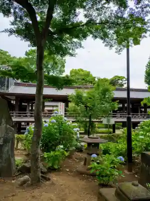 妙法寺(東京都)