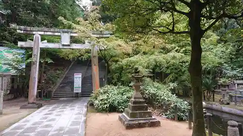 石鎚神社 口之宮 本社の鳥居