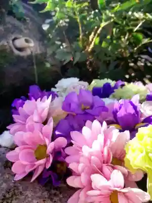 本郷氷川神社(東京都)