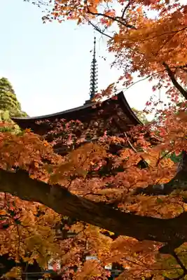 西明寺(滋賀県)