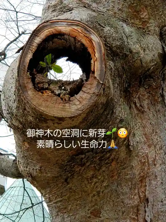 阿邪訶根神社(福島県)