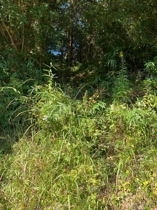 薬師如来の周辺